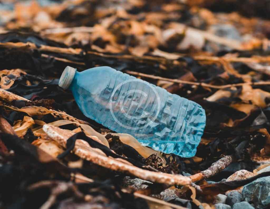 صورة مخزنة محمية بحقوق نشر لزجاجة بلاستيكية ملقاة بين أوراق شجر يابسة وأعواد | Copyright-watermarked stock photo of a discarded plastic bottle lying among dry leaves and twigs