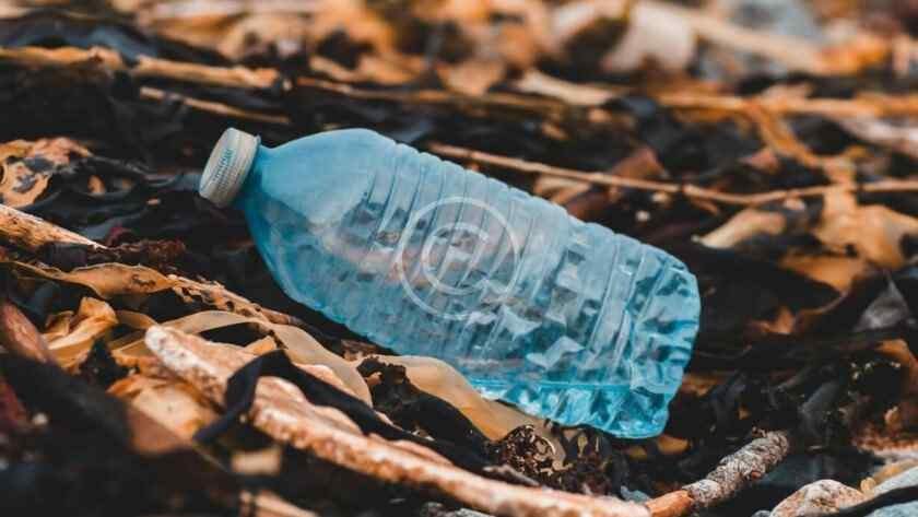 صورة مخزنة محمية بحقوق نشر لزجاجة بلاستيكية ملقاة بين أوراق شجر يابسة وأعواد | Copyright-watermarked stock photo of a discarded plastic bottle lying among dry leaves and twigs