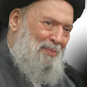 الرابع من تموز : الذكرى السنوية الخامسة عشرة لرحيل المرجع الديني السيد محمد حسين فضل الله قدس الله سره الشريف كم نحتاجك اليوم في هذه المرحلة الخطيرة دفاعا عن الحق