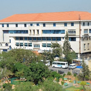 إحتفاليّة عربية لمؤسسة الهادي ودار ميم في ختام شهر التوعية حول اضطراب طيف التوحد